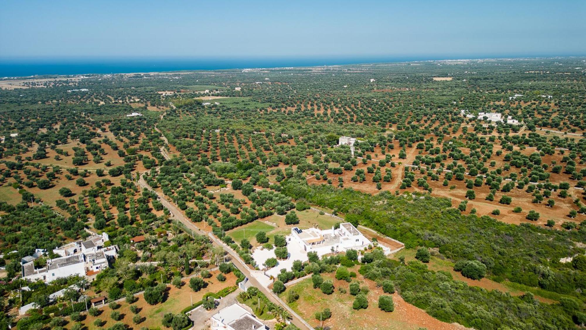 Masseria Abadia Uno Ostuni Eksteriør billede